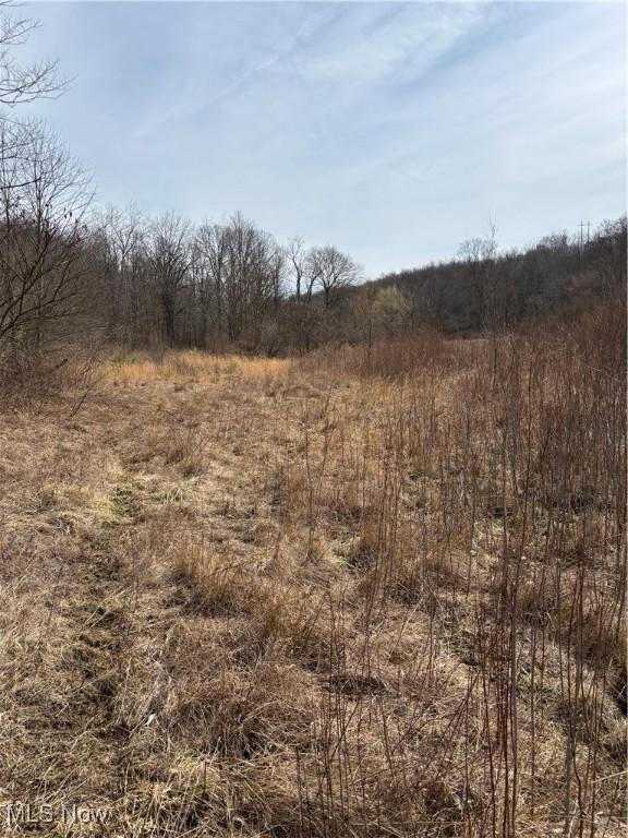 2492 Irish Ridge Rd, East Liverpool, OH 43920 - photo 3