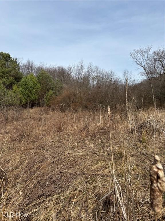 2492 Irish Ridge Rd, East Liverpool, OH 43920 - photo 4