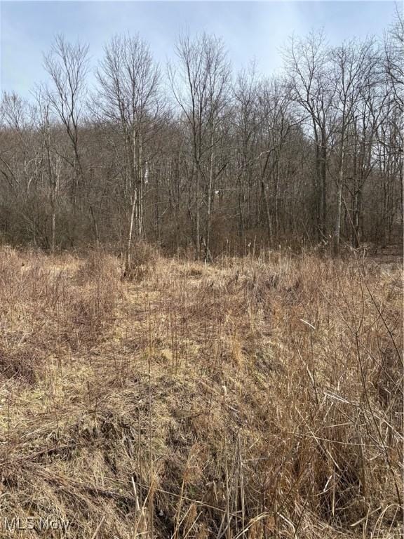 2492 Irish Ridge Rd, East Liverpool, OH 43920 - photo 5