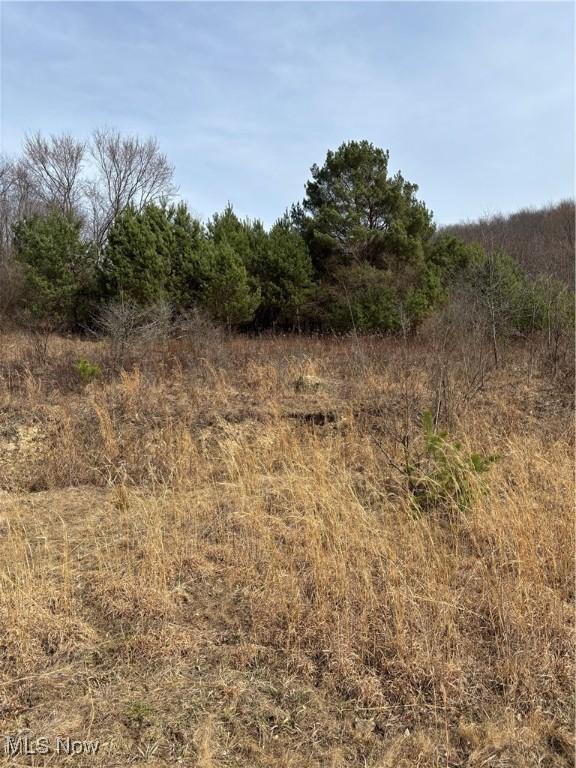 2492 Irish Ridge Rd, East Liverpool, OH 43920 - photo 6