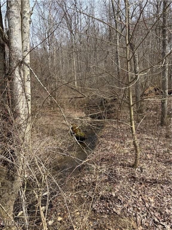 2492 Irish Ridge Rd, East Liverpool, OH 43920 - photo 7