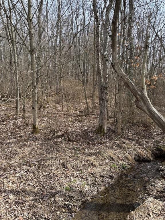 2492 Irish Ridge Rd, East Liverpool, OH 43920 - photo 9