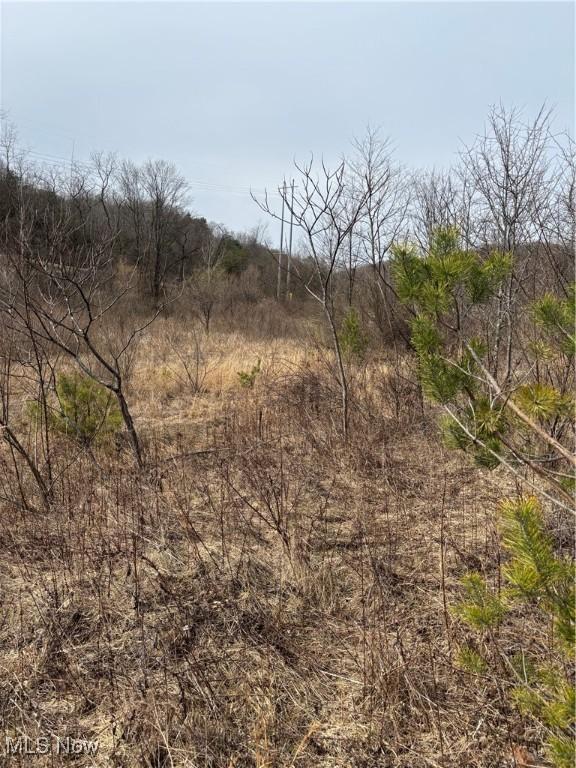 2492 Irish Ridge Rd, East Liverpool, OH 43920 - photo 10