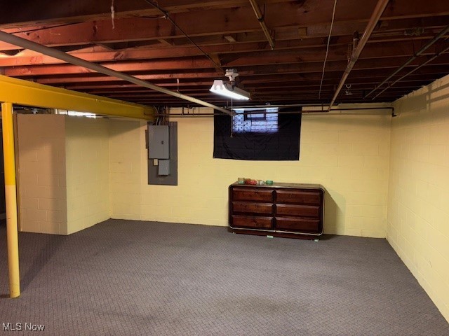 1317 Hartzell, Niles, OH 44446 - below grade area featuring electric panel and dark carpet