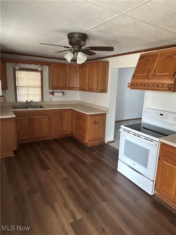 16535 State Route 60 S, Dresden, OH 43821 - kitchen featuring premium range hood, dark wood finished floors, electric range, ceiling fan, and light countertops