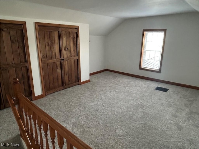 16535 State Route 60 S, Dresden, OH 43821 - additional living space featuring visible vents, baseboards, lofted ceiling, and carpet