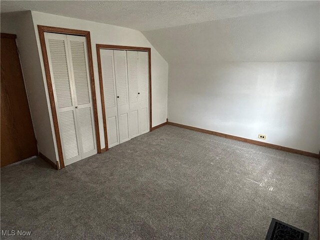 16535 State Route 60 S, Dresden, OH 43821 - unfurnished bedroom featuring multiple closets, a textured ceiling, baseboards, carpet flooring, and lofted ceiling
