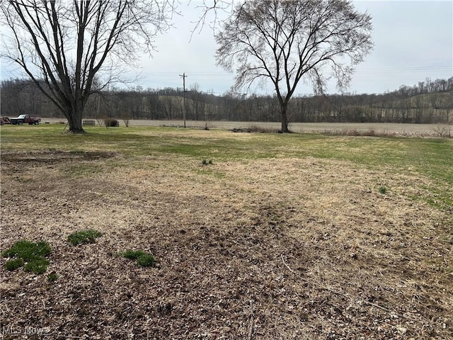 16535 State Route 60 S, Dresden, OH 43821 - view of yard