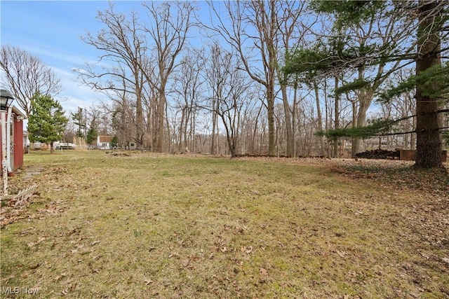 view of yard