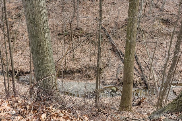 view of landscape