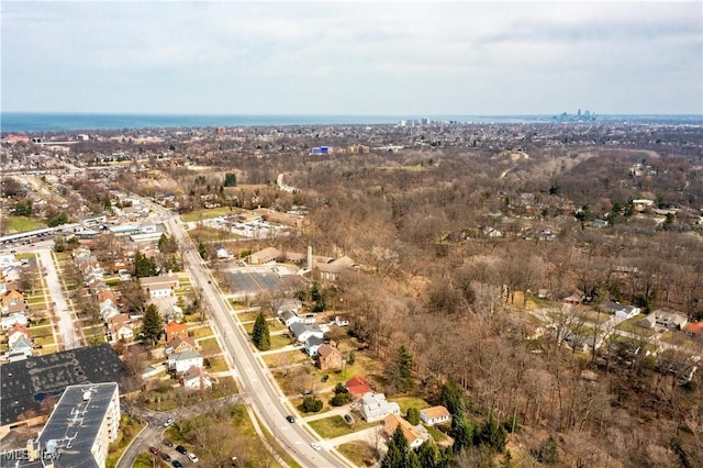 bird's eye view