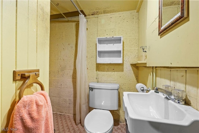 bathroom featuring a sink, a shower with curtain, and toilet