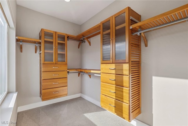1228 W 74th St, Cleveland, OH 44102 - walk in closet featuring carpet floors