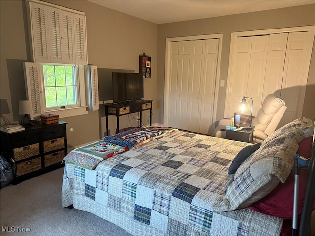106 Wildwood Dr, Marietta, OH 45750 - carpeted bedroom featuring two closets
