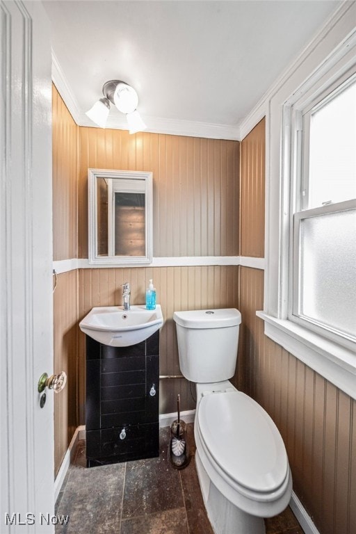 21030 Edgecliff Dr, Euclid, OH 44123 - bathroom featuring toilet, vanity, wood walls, and baseboards
