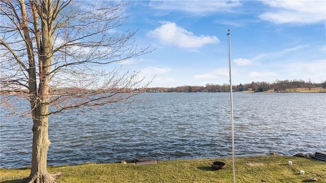 2326 Canfield Rd, Akron, OH 44312 - property view of water