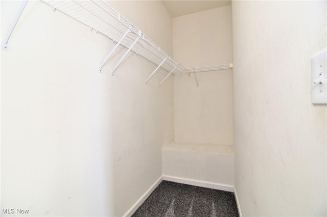 1261 W 74, Cleveland, OH 44102 - spacious closet featuring carpet flooring