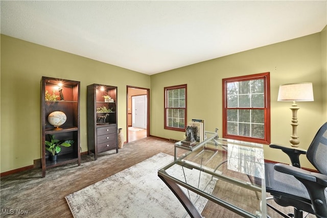 4100 Chagrin River Rd, Moreland Hills, OH 44022 - office with baseboards and carpet floors