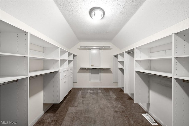 4100 Chagrin River Rd, Moreland Hills, OH 44022 - walk in closet with dark carpet and lofted ceiling