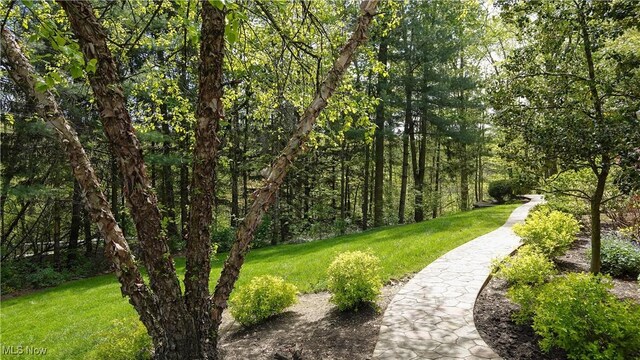 4100 Chagrin River Rd, Moreland Hills, OH 44022 - view of property's community with a lawn and a view of trees