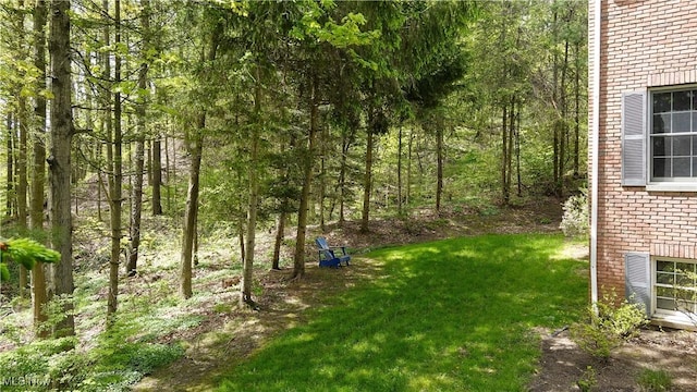 4100 Chagrin River Rd, Moreland Hills, OH 44022 - view of grassy yard