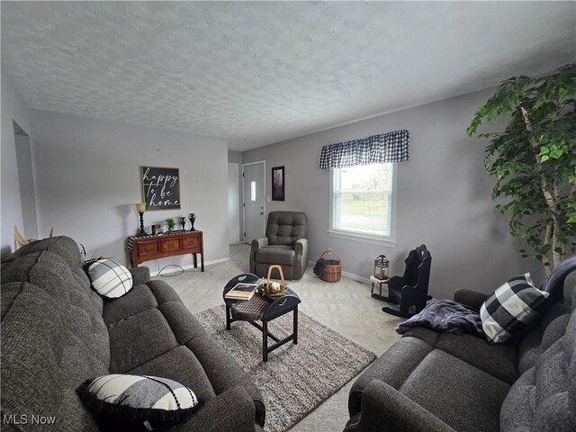356 Garfield St, Geneva, OH 44041 - photo 8