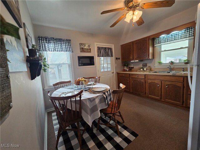 356 Garfield St, Geneva, OH 44041 - photo 13