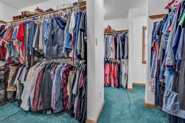 9620 Bimeler St NE, Bolivar, OH 44612 - spacious closet featuring carpet floors