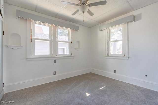 unfurnished room featuring a wealth of natural light, carpet flooring, ceiling fan, and a drop ceiling
