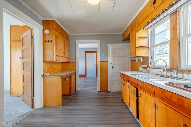 kitchen with dark wood finished floors, light countertops, ornamental molding, brown cabinetry, and a sink