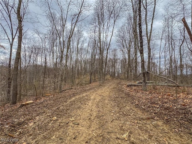 0 Township Road 329 SE, Corning, OH 43730 - photo 27