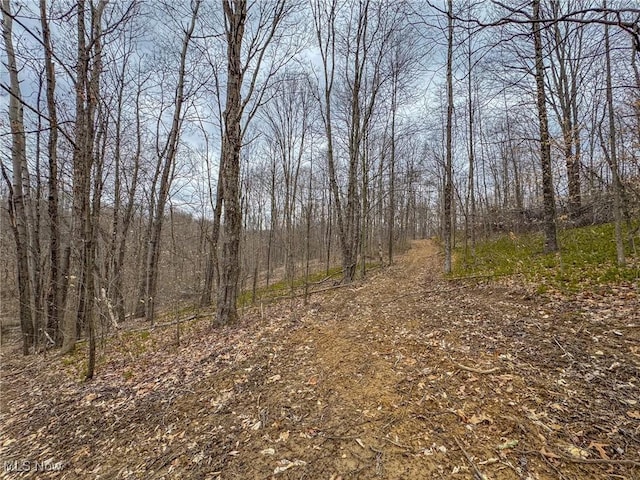 0 Township Road 329 SE, Corning, OH 43730 - photo 28