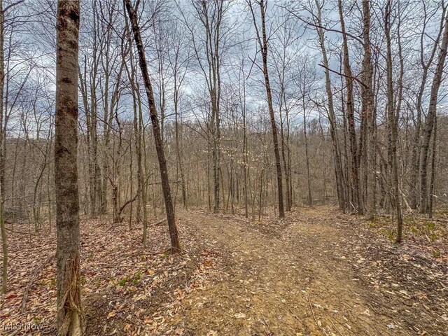 0 Township Road 329 SE, Corning, OH 43730 - photo 29