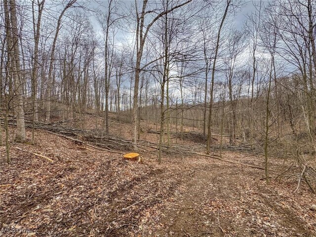 0 Township Road 329 SE, Corning, OH 43730 - photo 30