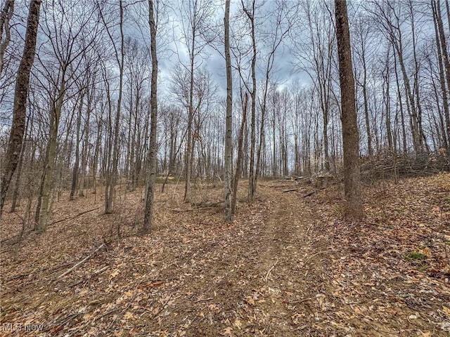 0 Township Road 329 SE, Corning, OH 43730 - photo 33