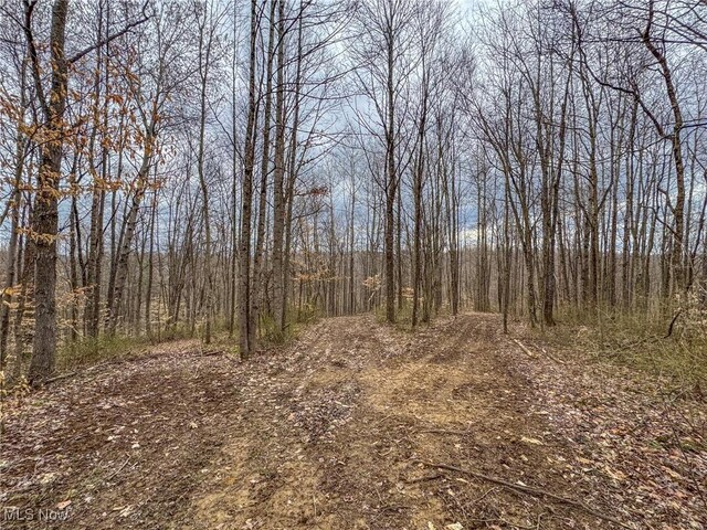 0 Township Road 329 SE, Corning, OH 43730 - photo 34
