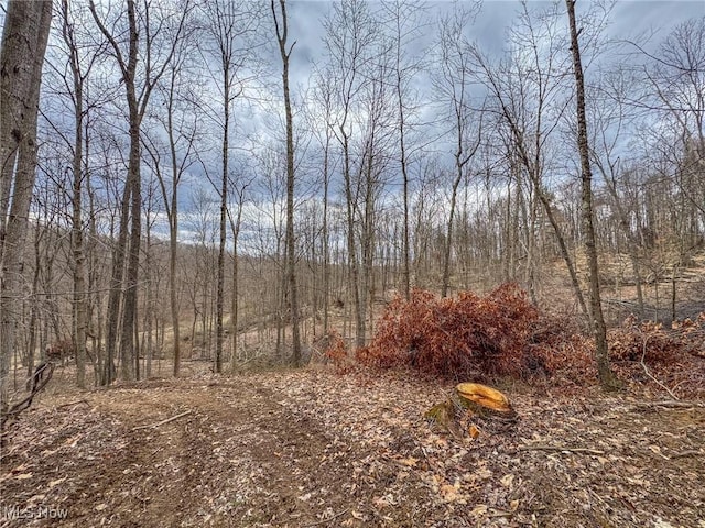 0 Township Road 329 SE, Corning, OH 43730 - photo 35