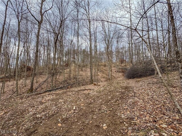 0 Township Road 329 SE, Corning, OH 43730 - photo 37