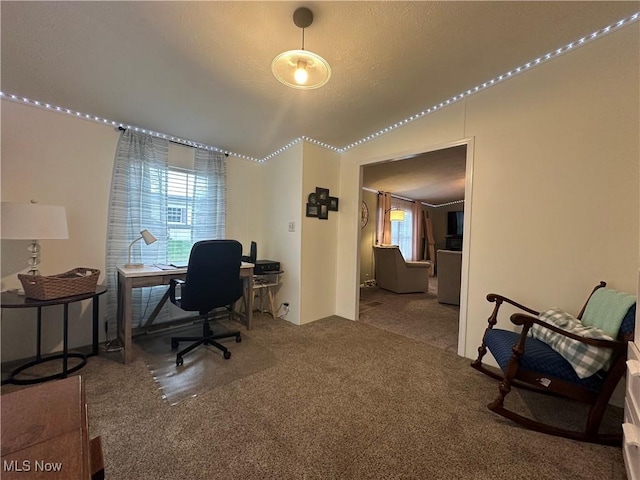 carpeted office with a textured ceiling