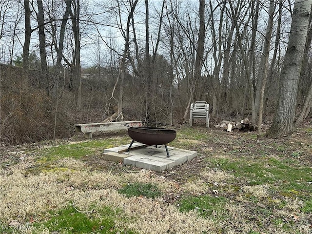 view of yard with a fire pit