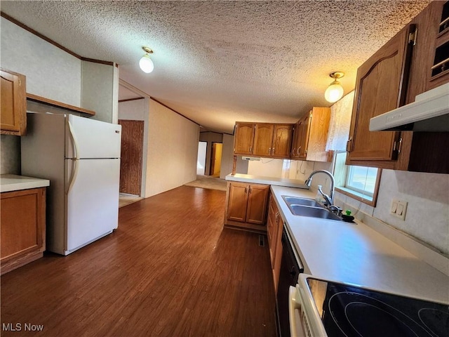 kitchen featuring brown cabinets, a sink, freestanding refrigerator, stove, and dark wood-style flooring