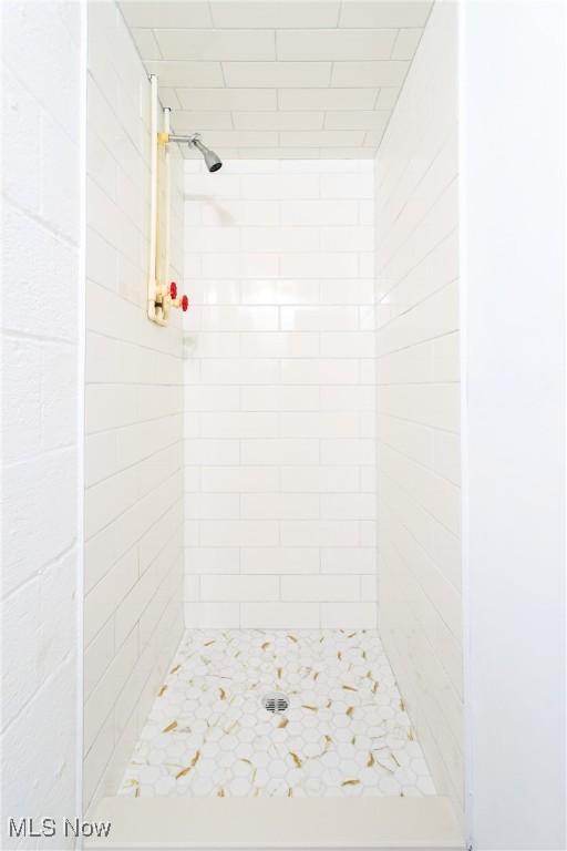 15921 Cloverside Ave, Cleveland, OH 44128 - bathroom featuring a shower stall