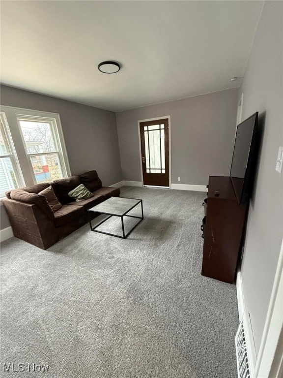 163 The Brooklands, Akron, OH 44305 - carpeted living area featuring baseboards and plenty of natural light