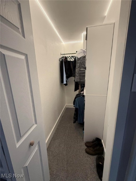 163 The Brooklands, Akron, OH 44305 - walk in closet featuring carpet floors