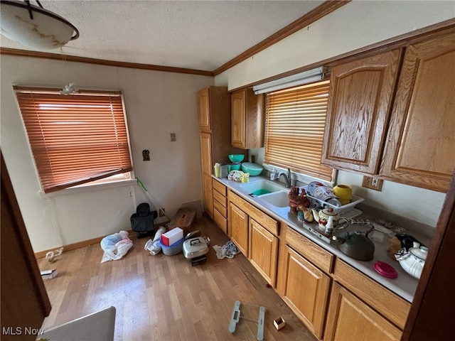 1218 Big Falls Ave, Akron, OH 44310 - photo 2