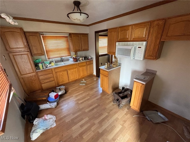 1218 Big Falls Ave, Akron, OH 44310 - photo 3