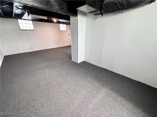 basement featuring concrete block wall