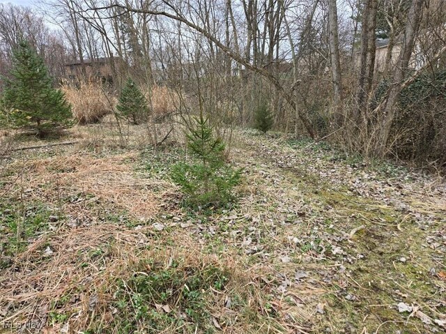 Shurmer Rd, Strongsville, OH 44136 - photo 4