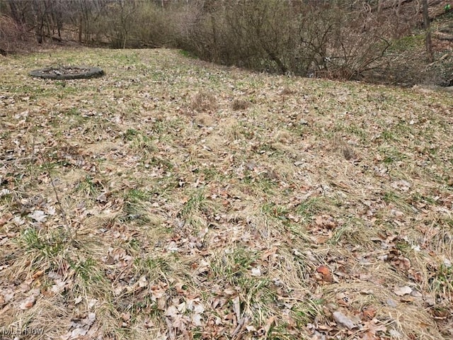 Shurmer Rd, Strongsville, OH 44136 - photo 10