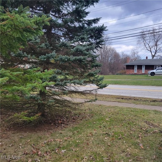 Shurmer Rd, Strongsville, OH 44136 - photo 6